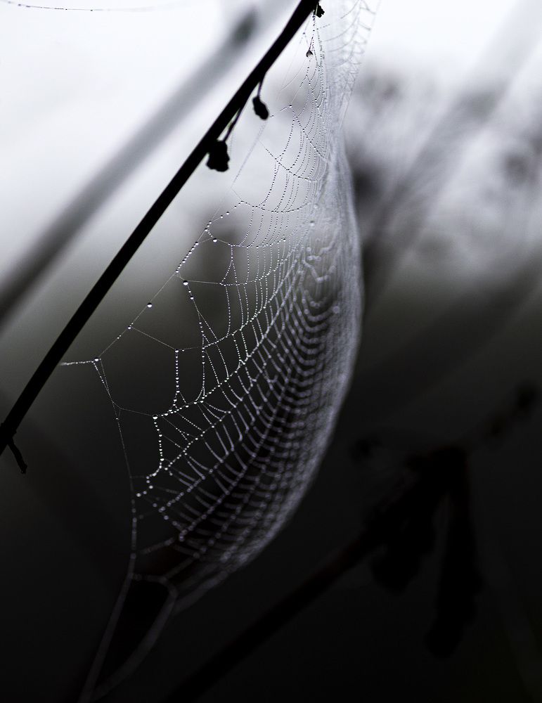 Фотография автора Анатолий Макоедов