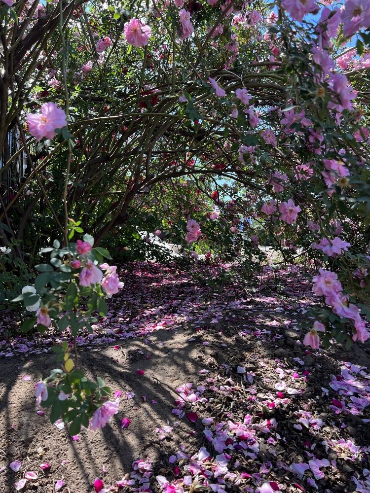 Photograph by Элеонора Ер