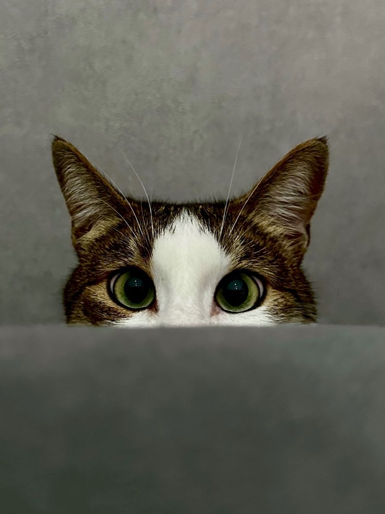 Photograph by Анастасия Конина