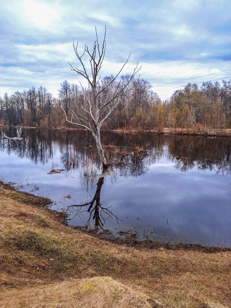 Photograph by Дмитрий Михайлов