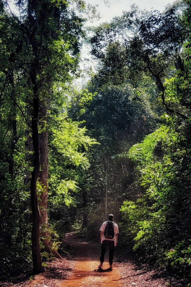 Photograph by Harshal Neman