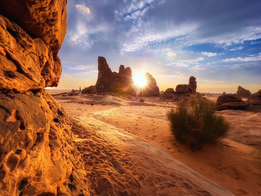 Photograph by Saleem Alfidi