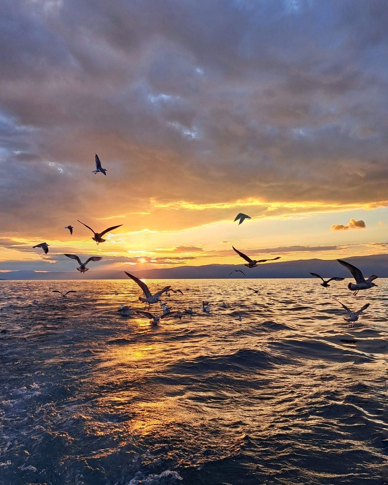 Photograph by Оксана Юдина