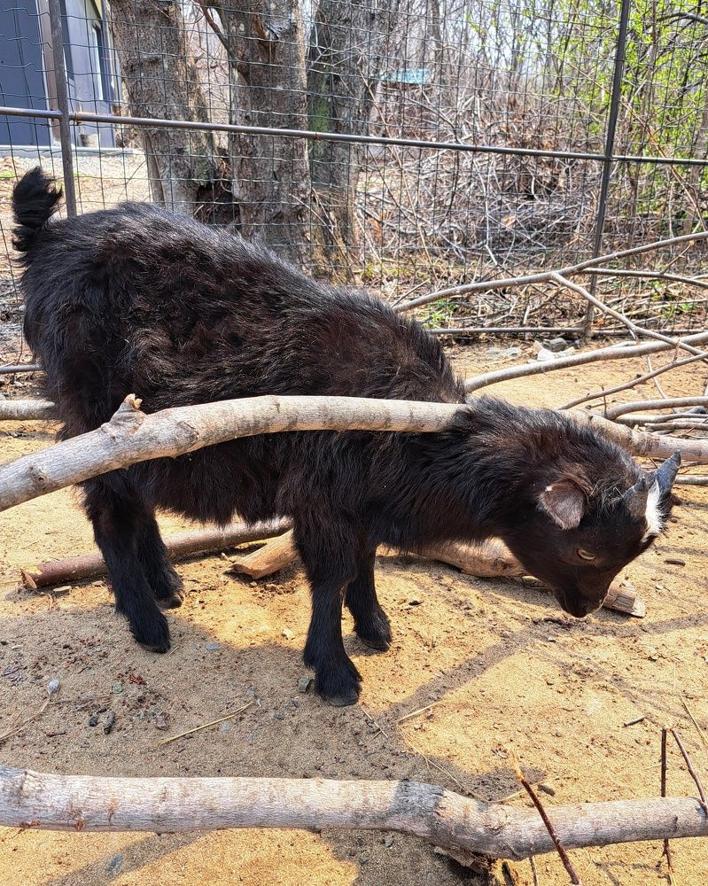 Photograph by Оксана Юдина