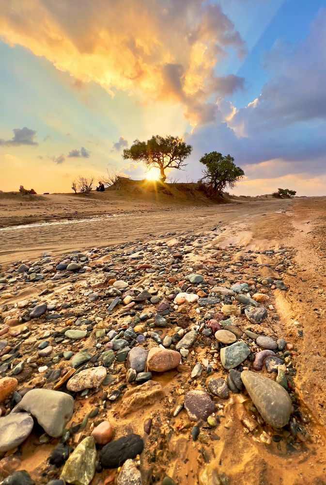 Photograph by Saleem Alfidi