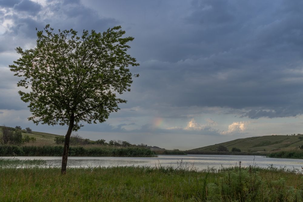 Photograph by Nastya Perekhodkina