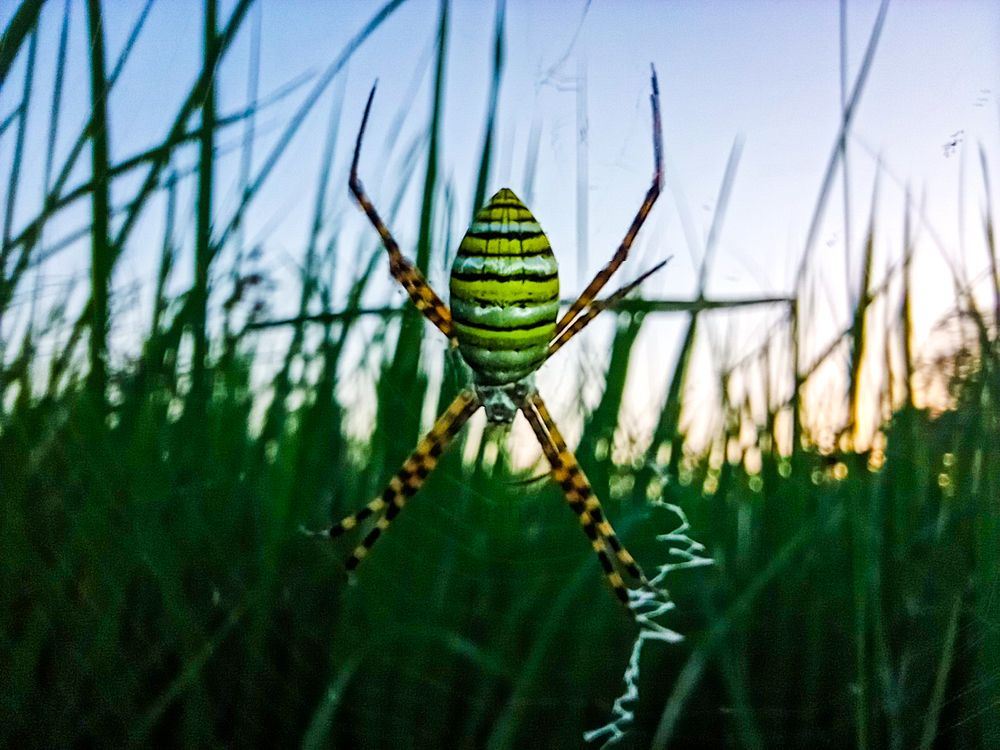 Photograph by Ghulam Murtaza Lashari