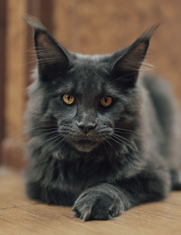 Photograph by Остапенко Алина