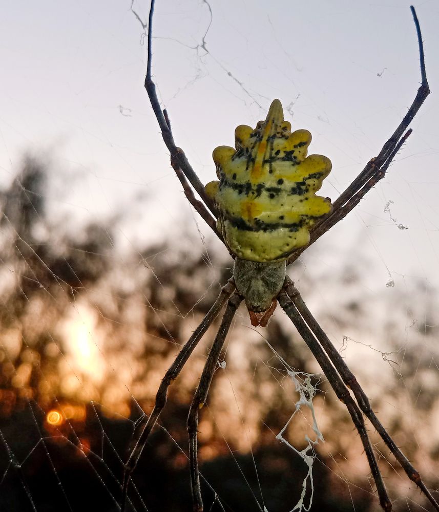 Photograph by Ghulam Murtaza Lashari