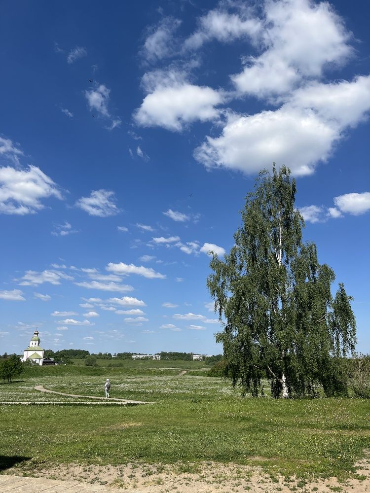 Фотография автора Мария Жукова