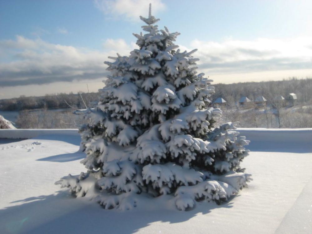 Фотография автора Елена Александрова