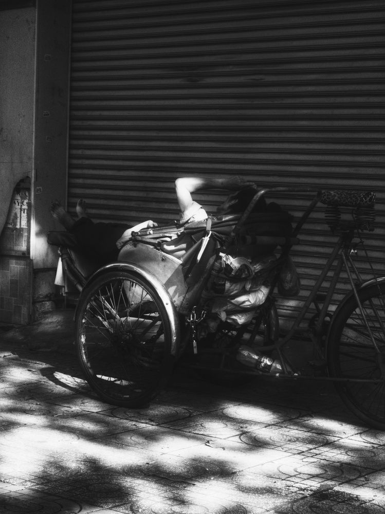 Photo #10667292