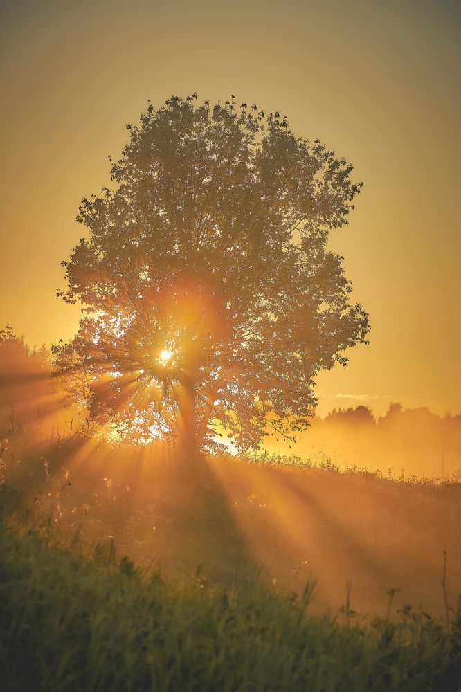 Photograph by Владислав Данилов