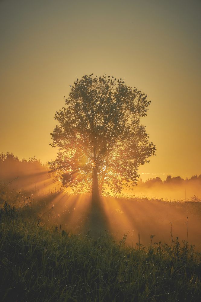 Photograph by Владислав Данилов