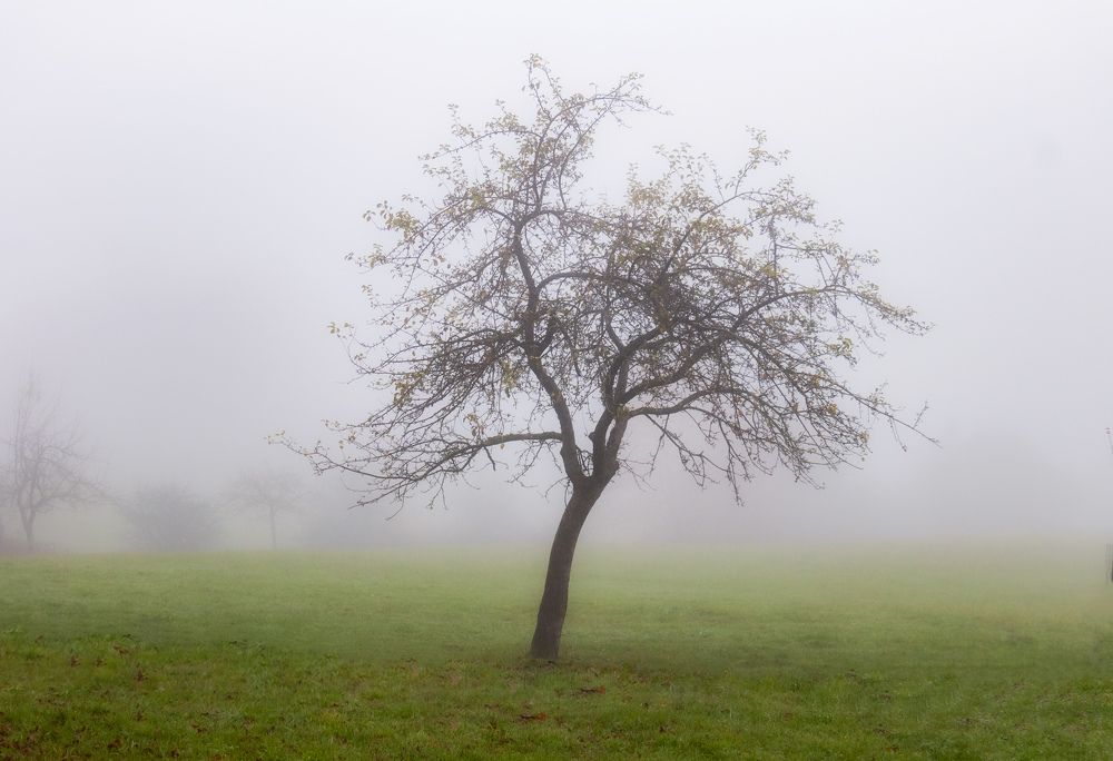 Photograph by Nikolay Isaakov