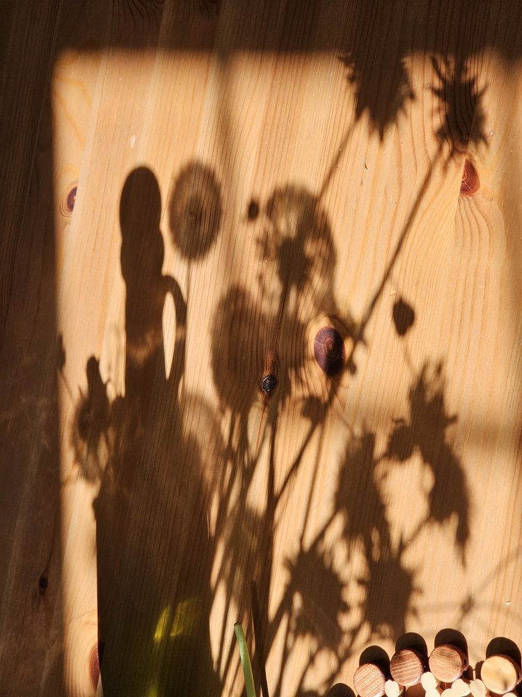 Photograph by Галина Левина