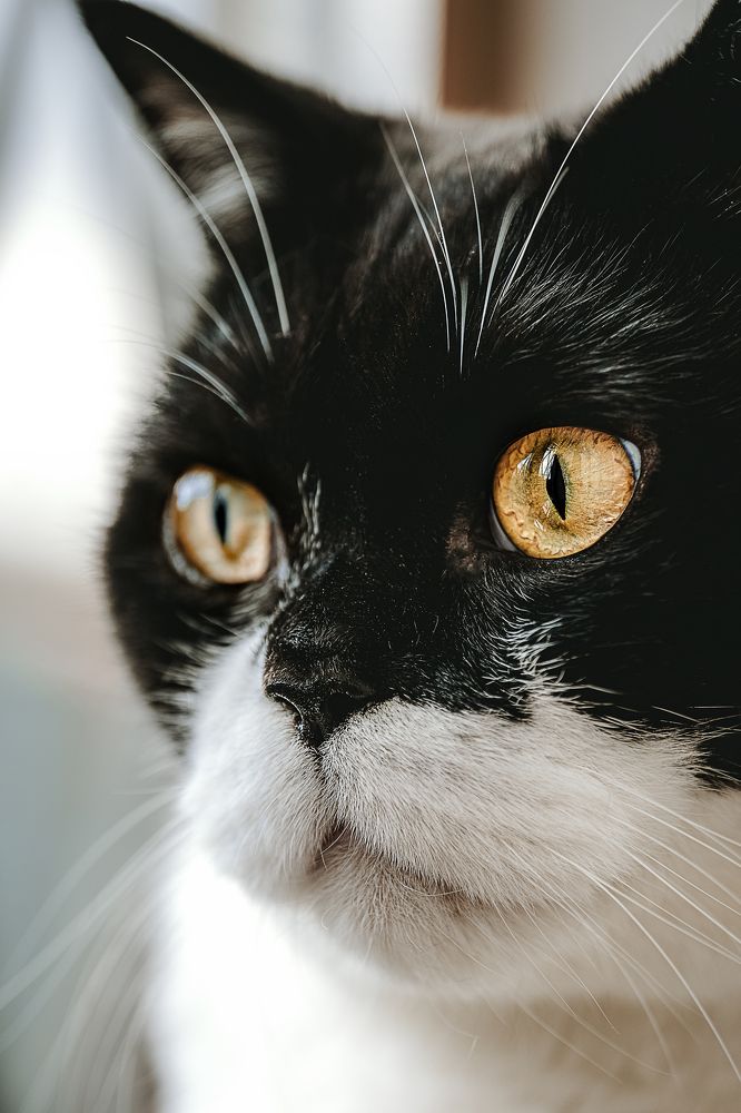 Photograph by Остапенко Алина