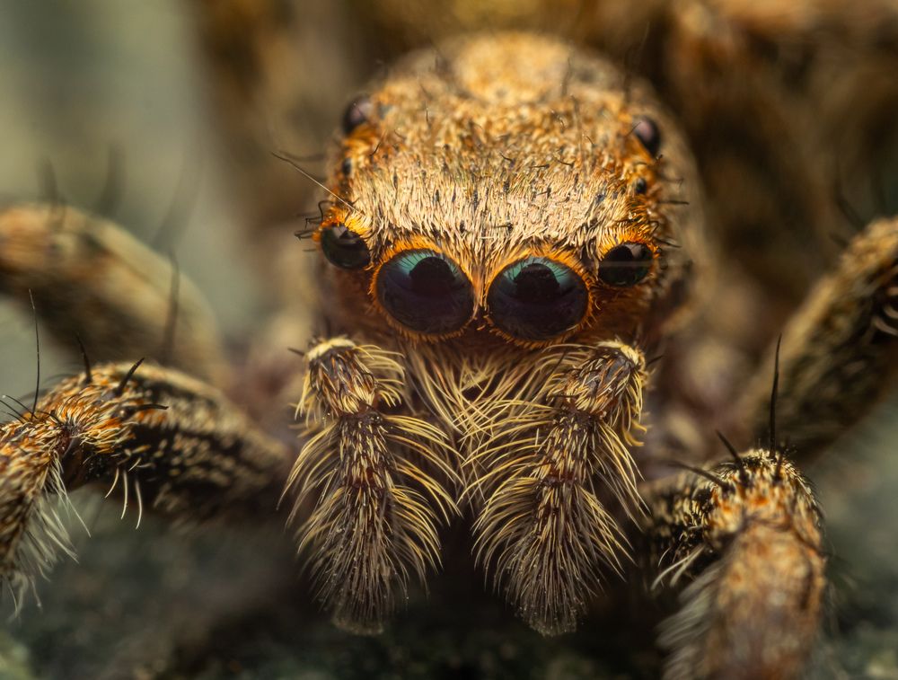 Photograph by Talha Maqsood