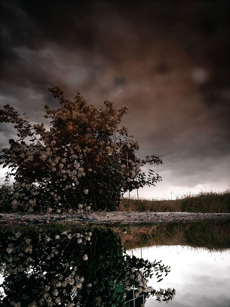 Photograph by Алеся Садченко