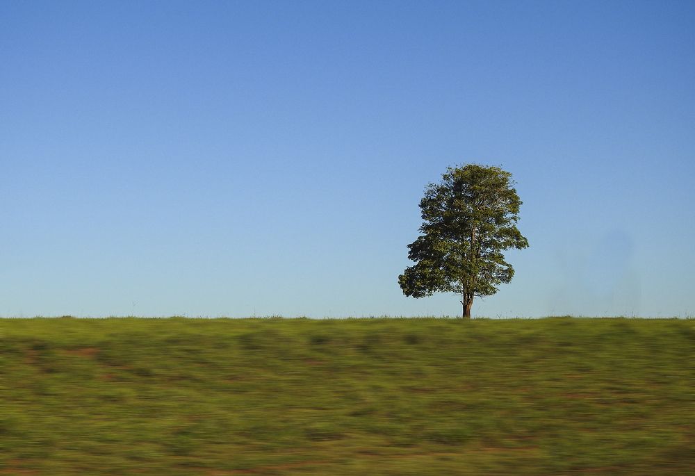 Photograph by Luiz Anelli