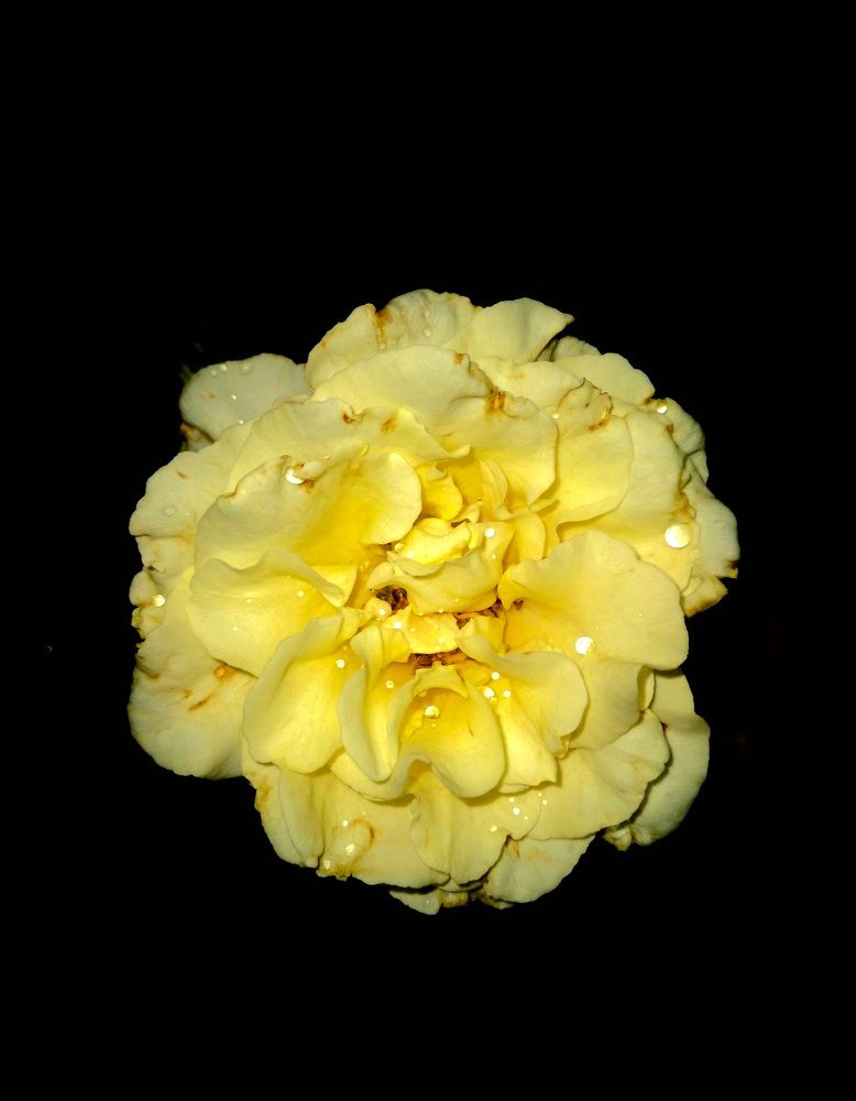 Photograph by Kumaran Dinushan