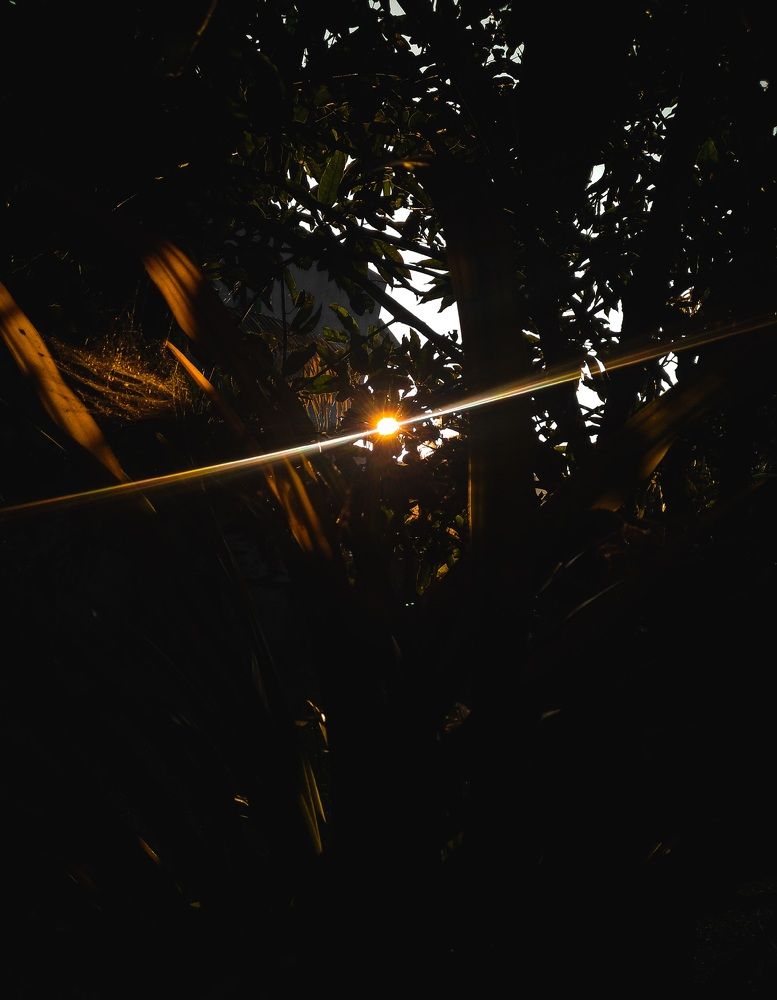 Photograph by Kumaran Dinushan