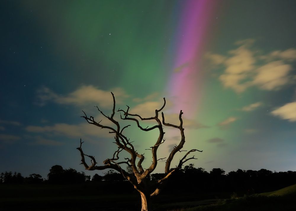 Cosmic Illumination!