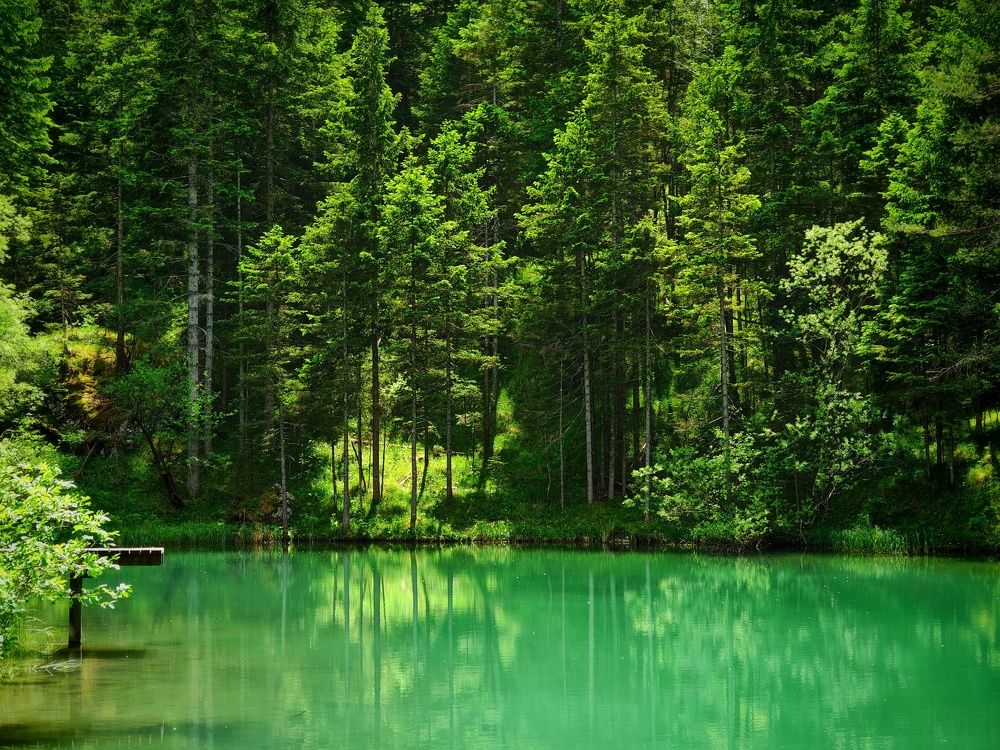 Фотография автора Andraz