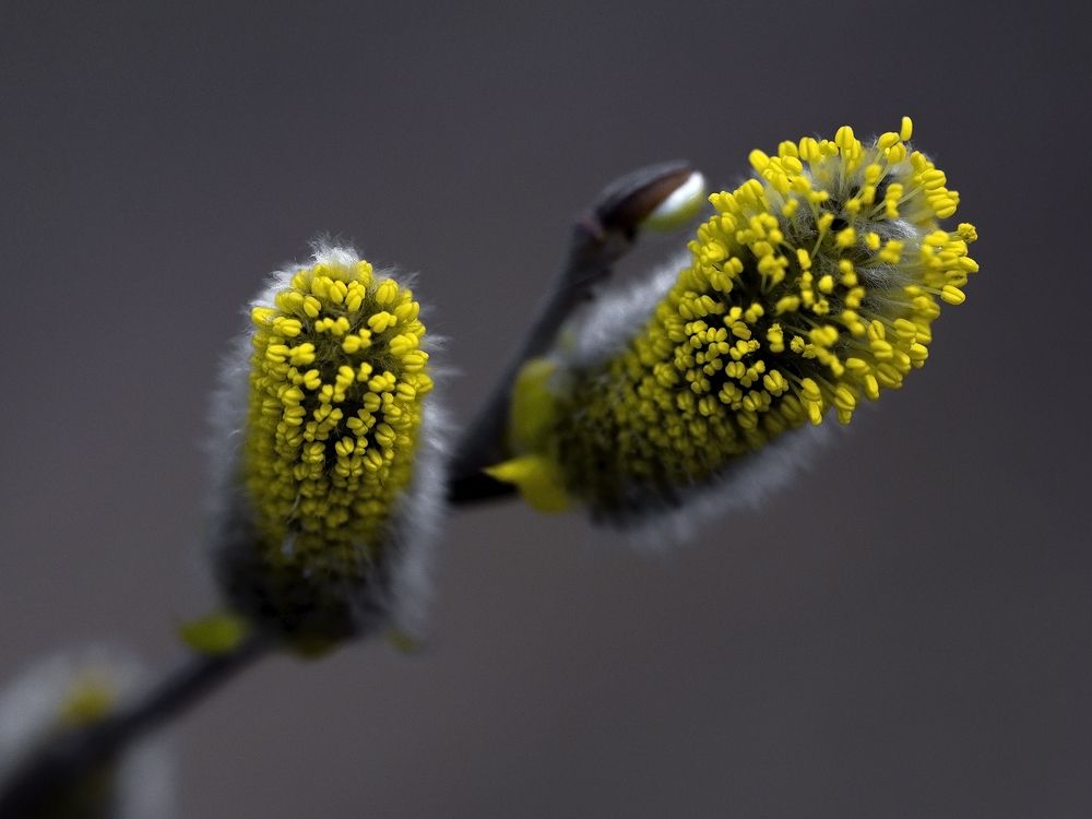 Photograph by Олег Тетерин