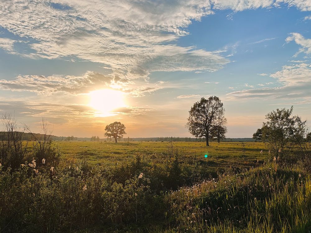 Фотография автора Антон Михайлов
