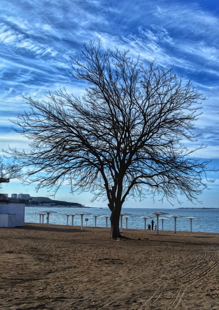 Photograph by Magic Helios