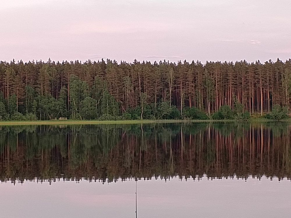 Photo #10667632