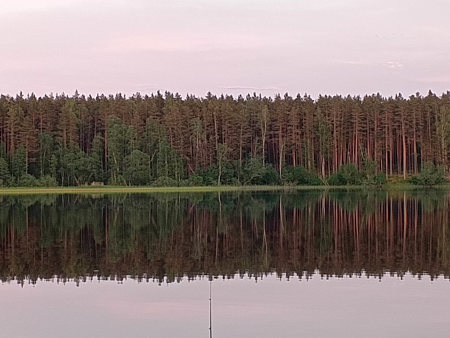 Photo #10667632