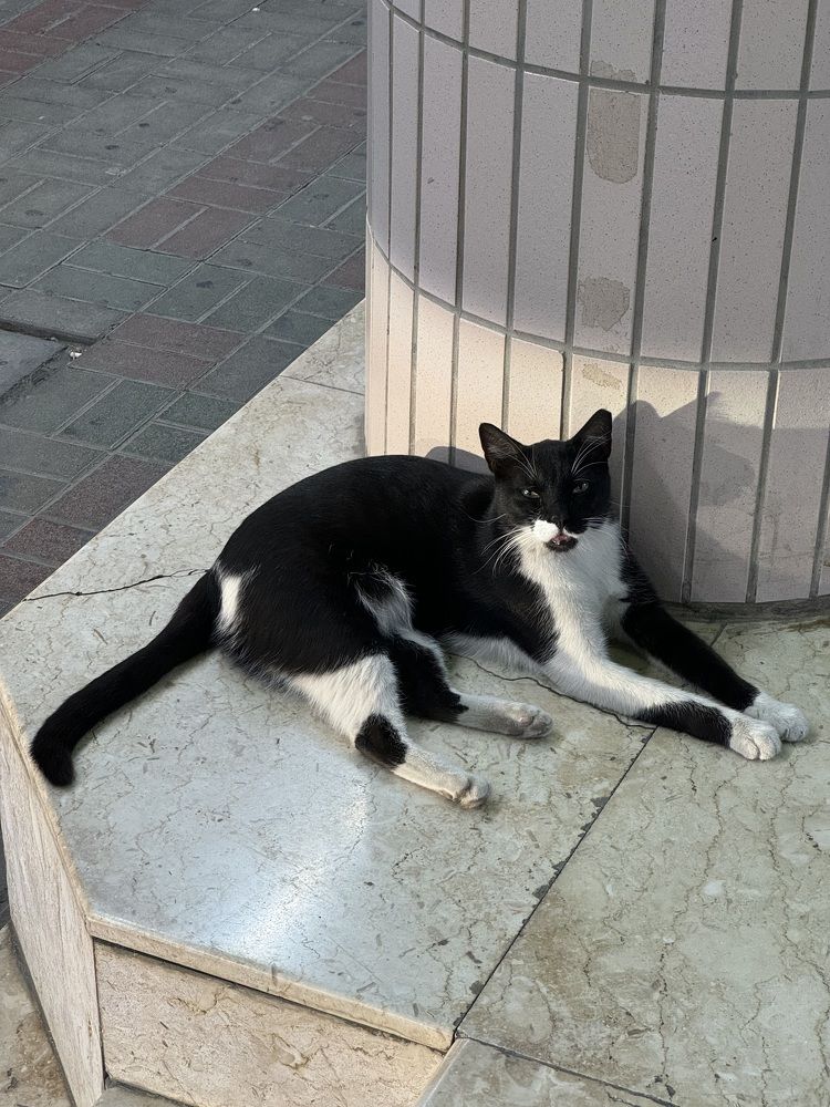 Photograph by Мария Зыкова