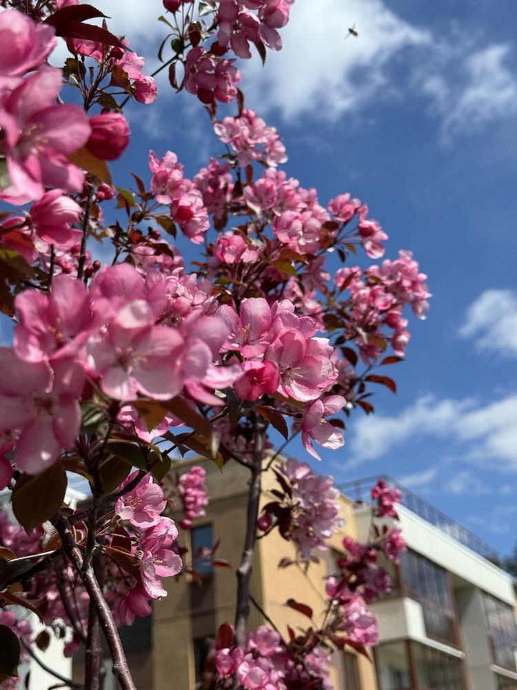 Photograph by Мария Зыкова