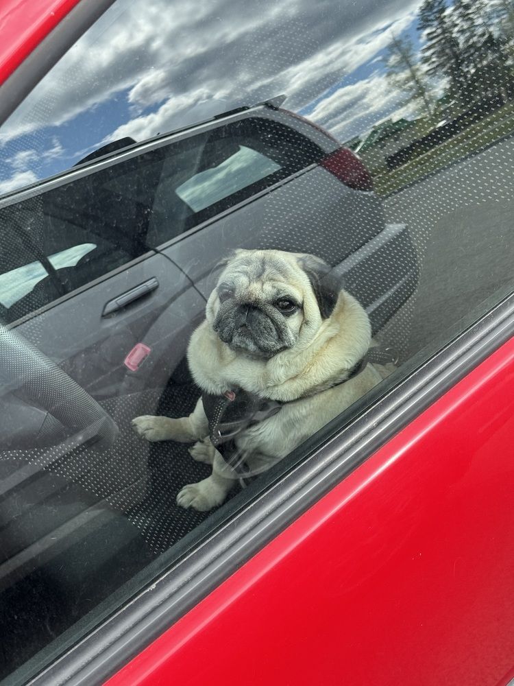 Photograph by Мария Зыкова