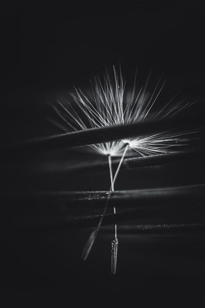 Photograph by Magic Helios