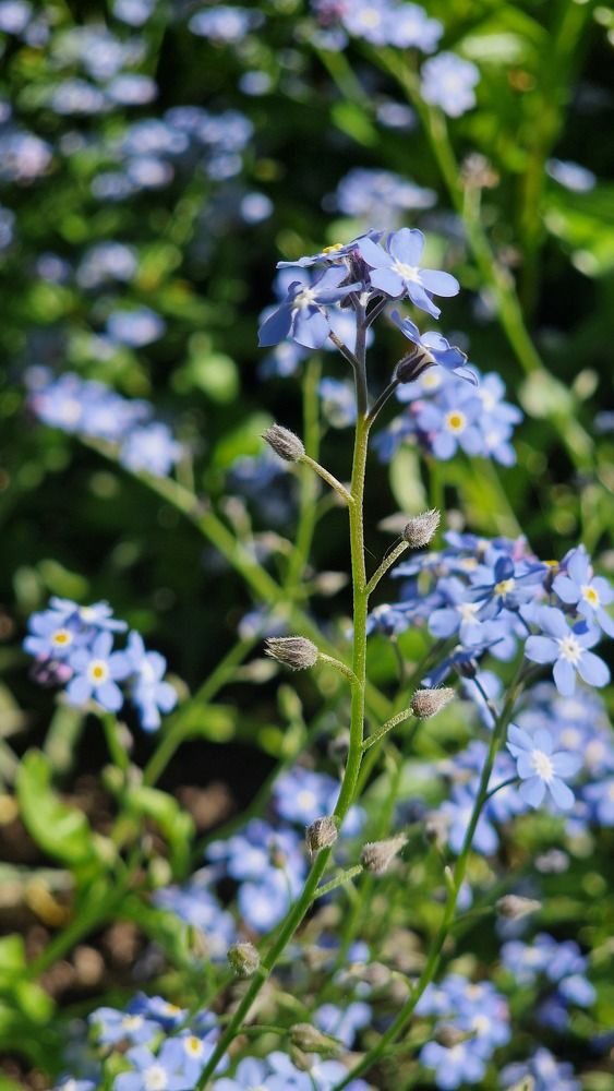 Фотография автора Katerina Yanovich