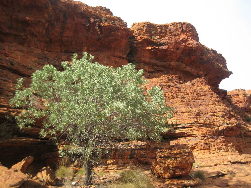 Фотография автора Елена Александрова