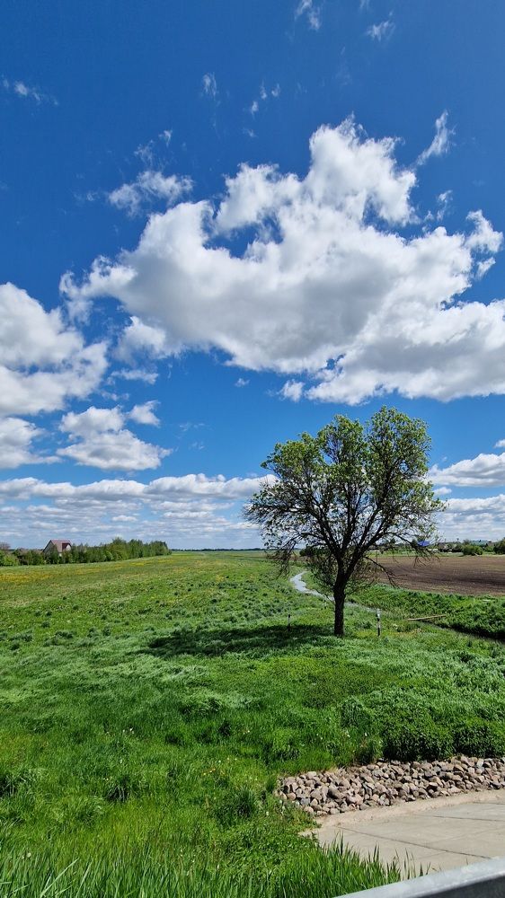 Фотография автора Katerina Yanovich