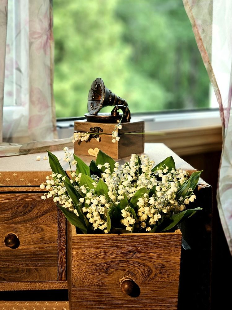 Ландыши в моём саду.