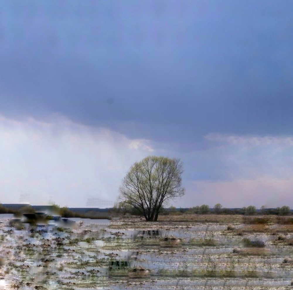 Photograph by Анастасия Липаткина