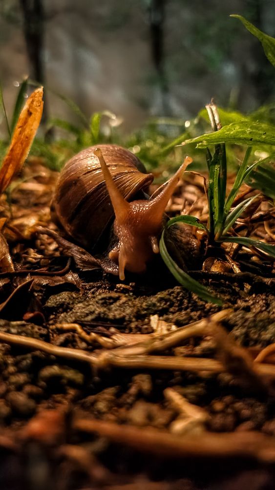 Фотография автора Anna Vodianova