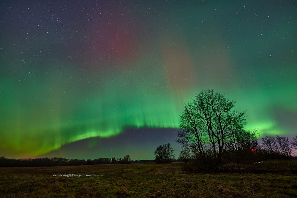 Photograph by Alla Matrosova