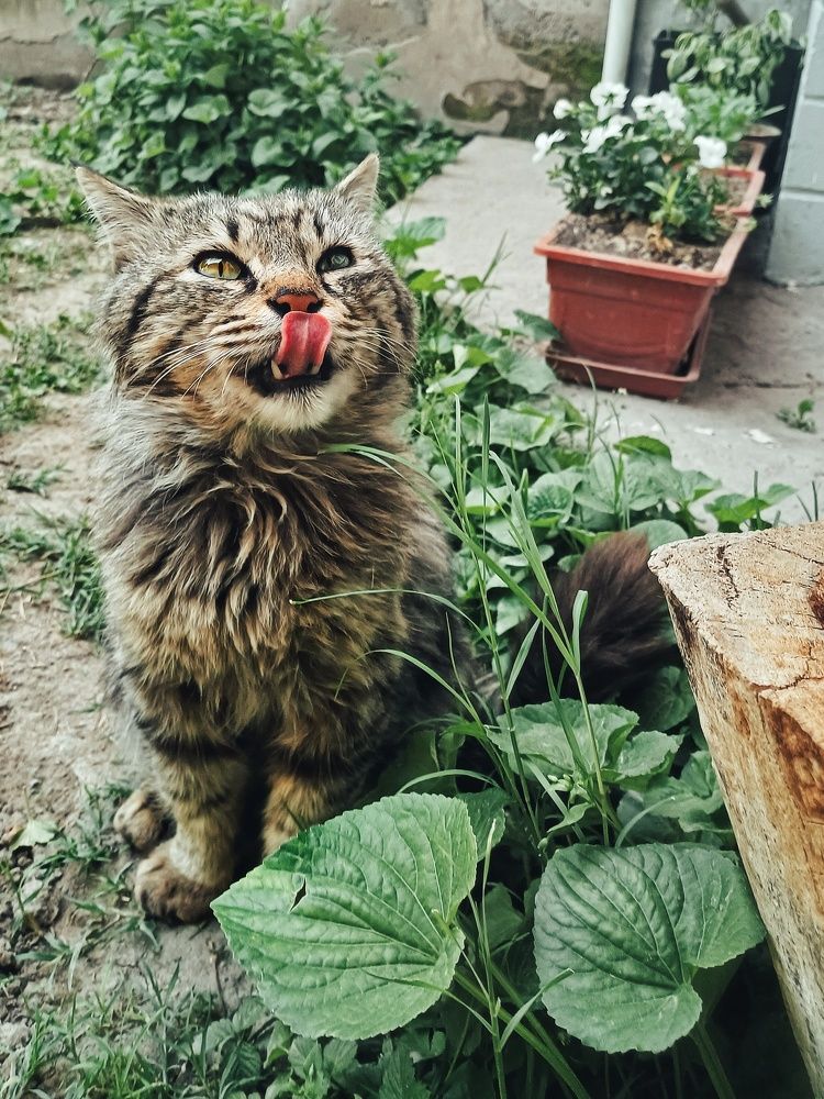 Photograph by Anastasiya Danilova