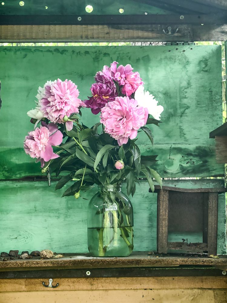 Photograph by Veranika Siratsinina