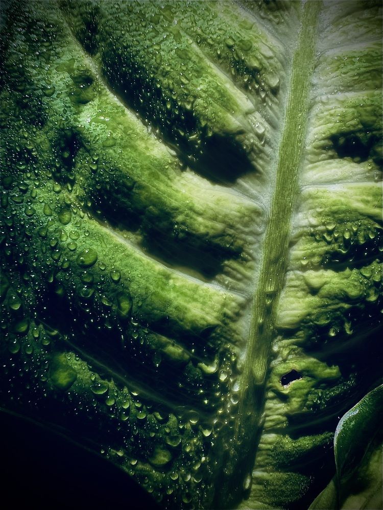 Photograph by Ксения Привалова