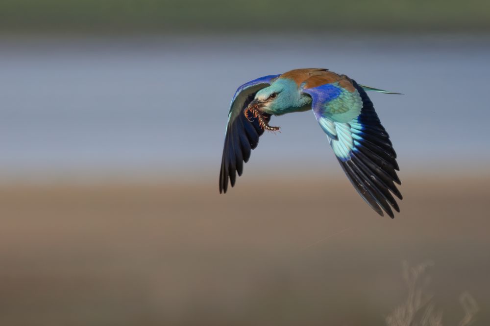 Photograph by Марат Кучкаев