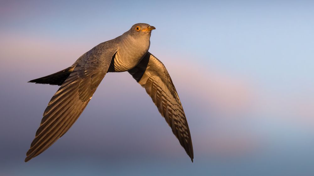 Photograph by Марат Кучкаев