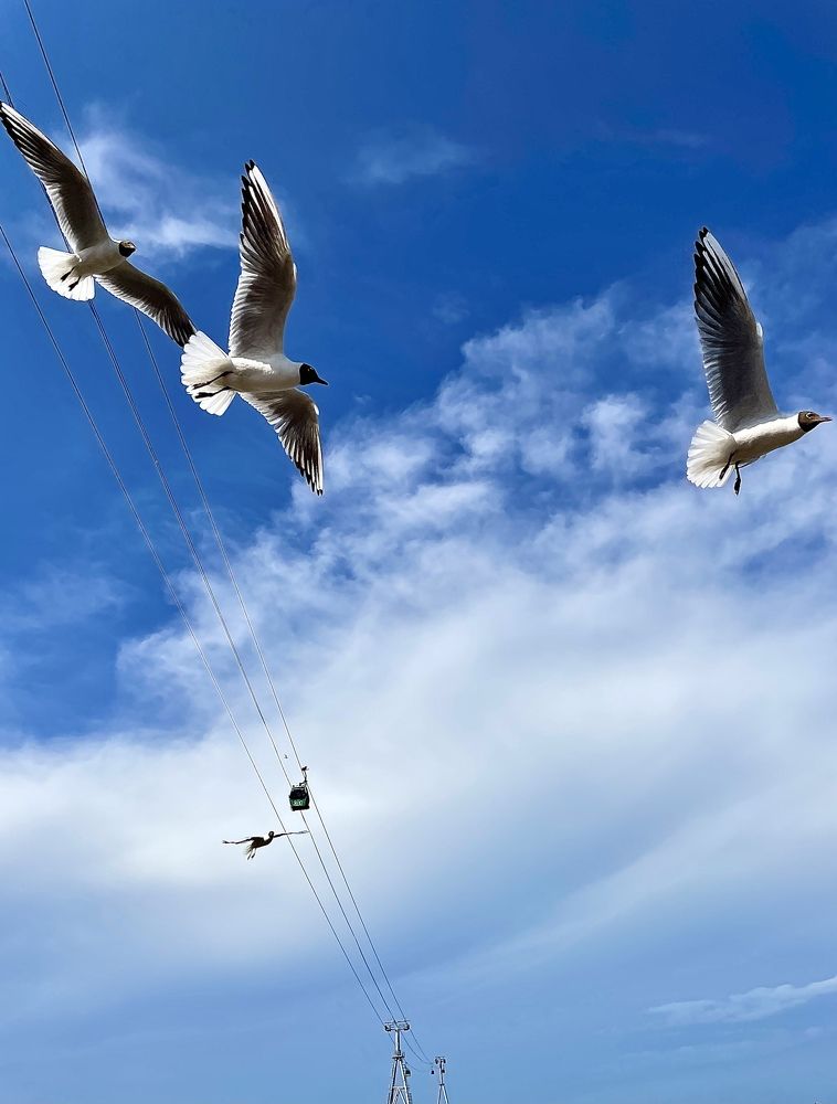 Photograph by Лариса Белашова